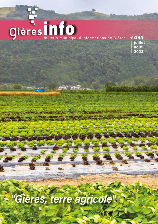 gi441 2207
