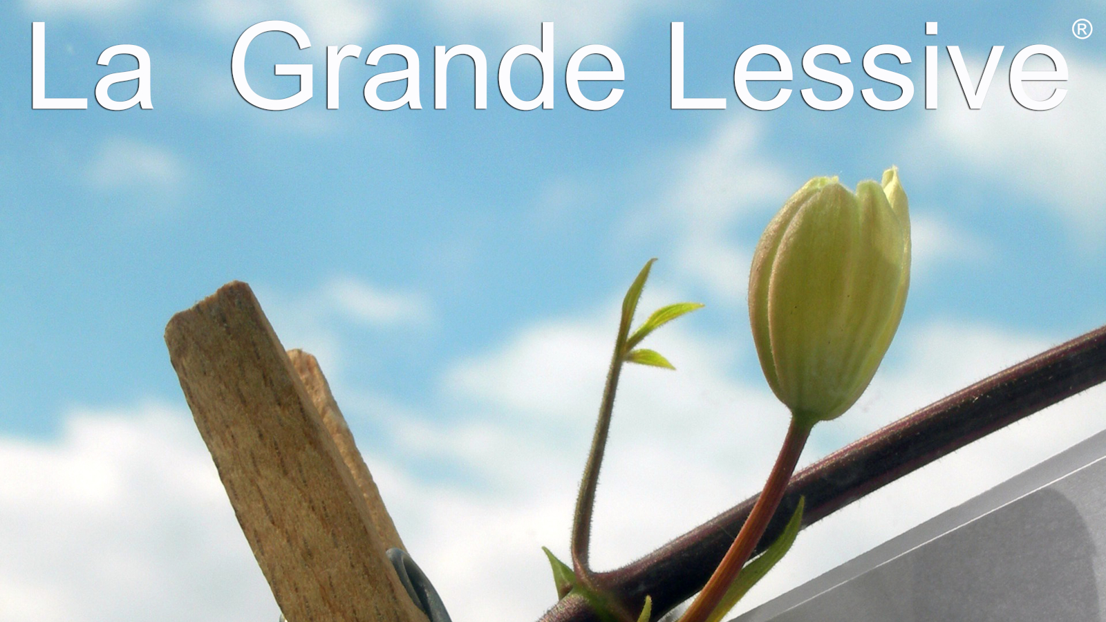 La grande lessive