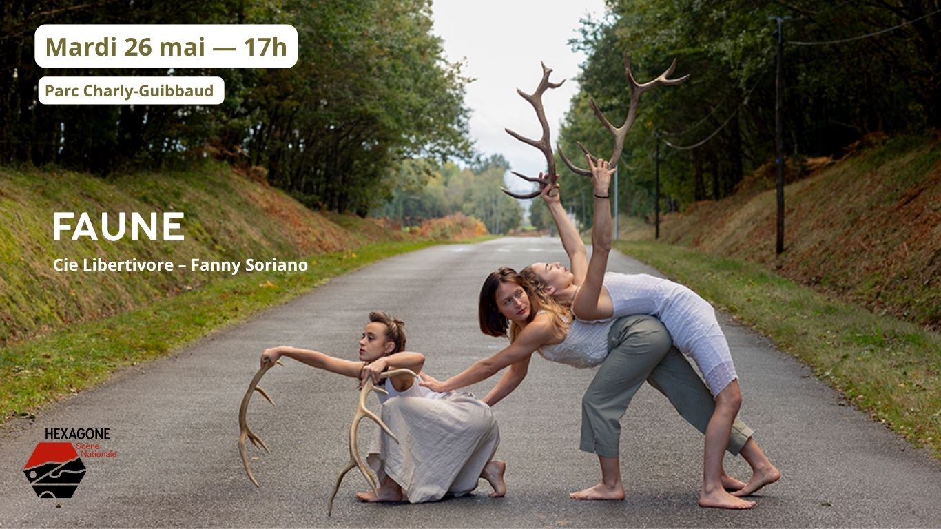 Faune